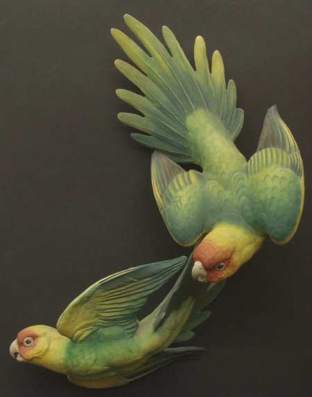 Dorothy Doughty Figurines Carolina Paroquet,Color - No Box