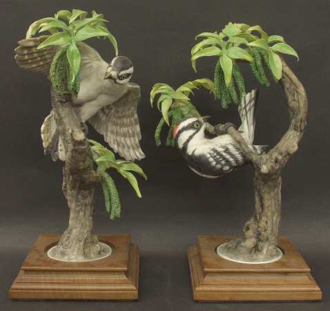 Doughty American Birds Downy Woodpeckers & Pecan Pair - Boxed