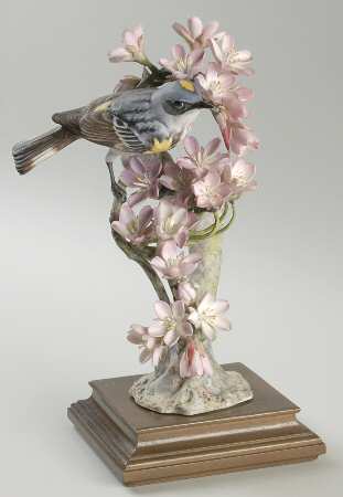 Doughty American Birds Cock-Myrtle Warbler & Weeping Cherry - Boxed