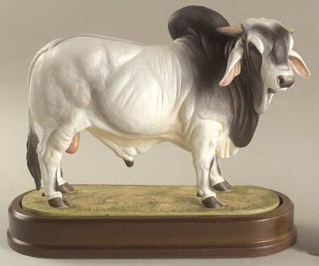 Doris Lindner Brahman Bull - No Box