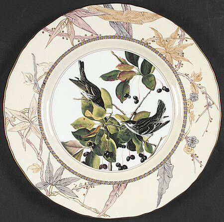 Audubon Birds Blackpoll Warbler - No Box