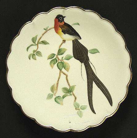 The Birds of Dorothy Doughty Paradise Wydah - Boxed
