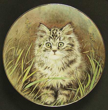 Kitten Classics Wild Flower - No Box