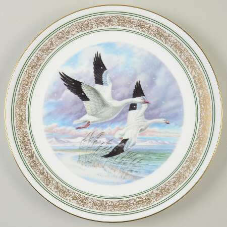 Waterbirds Of North America Snow Geese - No Box