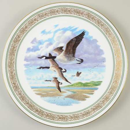 Waterbirds Of North America Canada Geese - No Box