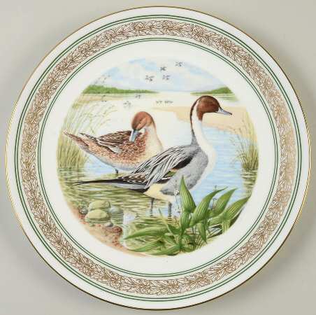 Waterbirds Of North America American Pintails - No Box