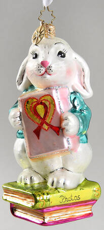 AIDS Awareness A Shy Rabbit's Heart - No Box