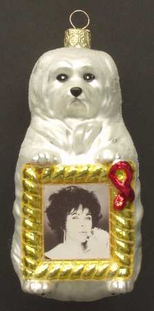 AIDS Awareness Sugar Holiday - Boxed