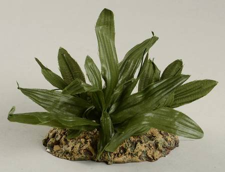 Fontanini Heirloom Nativity 5" Scale Plant-Large - With Box Bx313