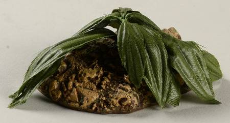 Fontanini Heirloom Nativity 5" Scale Plant - Boxed