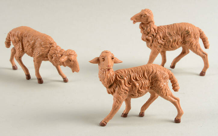 Fontanini Nativity 7.5" Brown Sheep - Set Of 3 - Boxed