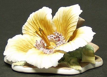 Ramex Cluj Collection Giftware Hibiscus - No Box
