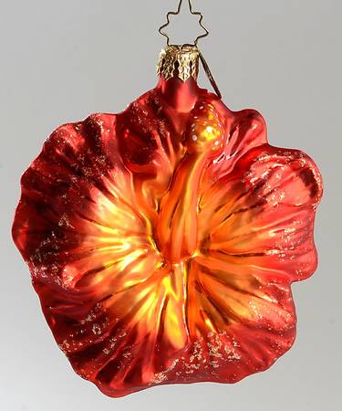 Floral & Garden Hibiscus-Red - No Box