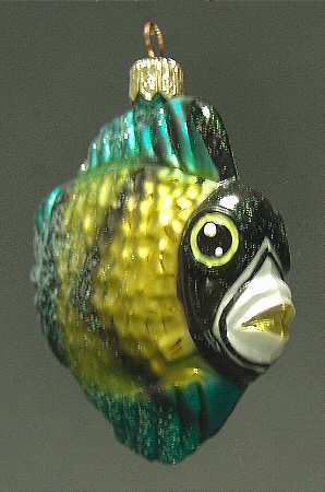 Aquatic Elegant Sea Delight Jr-Green/Teal - No Box