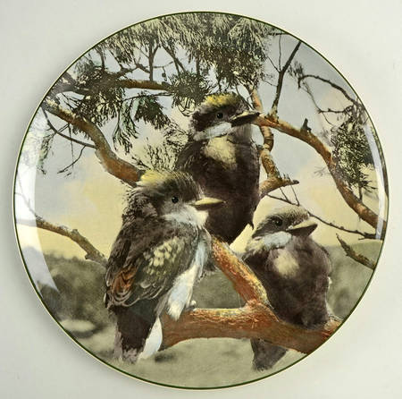 Australian Views Young Kookaburras - No Box
