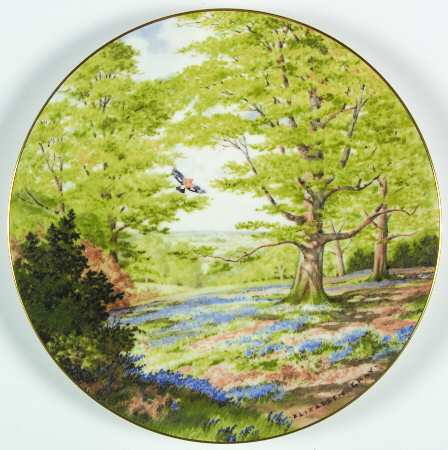 At Peace with Nature Among The Bluebells - Boxed