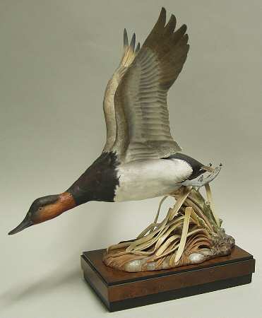Royal Worcester Bird Figurines Canvasback Duck - No Box