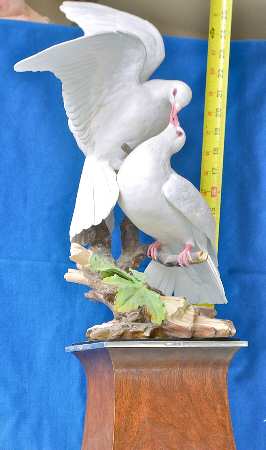 Royal Worcester Bird Figurines White Doves - No Box