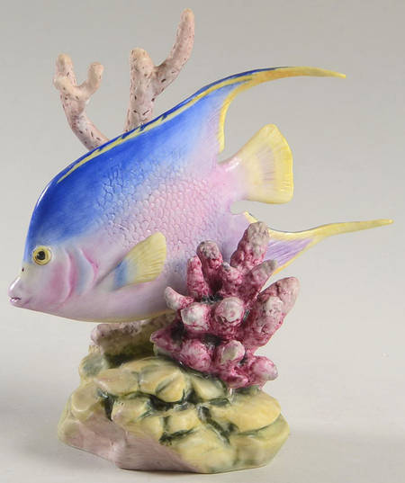Tropical Fish-Small Blue Angel Fish - Boxed