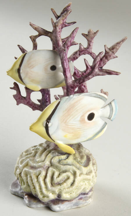 Tropical Fish-Small Four-Eyed Fish - No Box