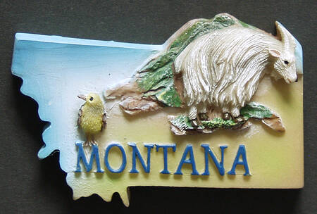 State Magnet Montana - No Box