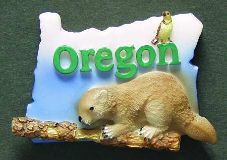 State Magnet Oregon - No Box
