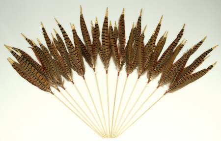 Woodlands Collection Pheasant Feather Pick-Set Of 12 - No Box