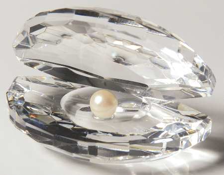 Crystalle Animals Oyster Small - No Box