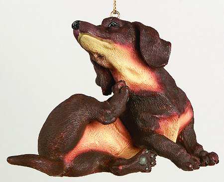 Dogs Ornament Collection Dachshund - Boxed