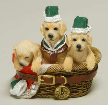 American Kennel Club Golden Retrievers - Boxed