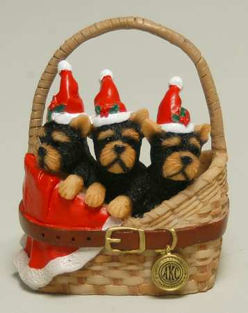 American Kennel Club Yorkies - Boxed
