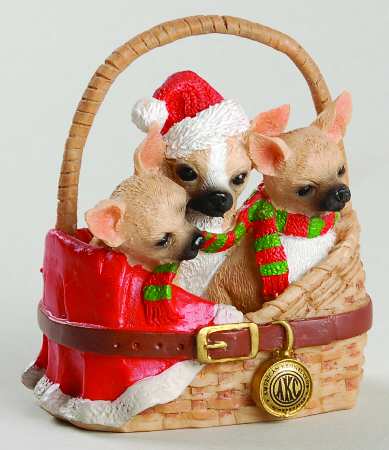 American Kennel Club Chihuahua - Boxed