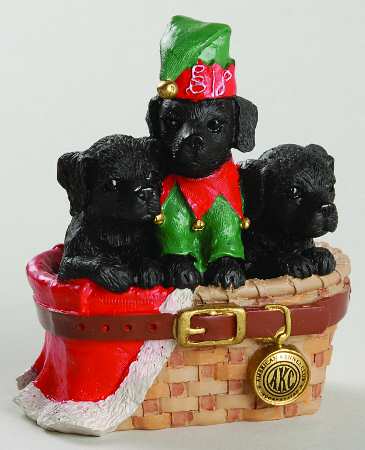 American Kennel Club Black Labs - Boxed