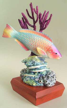 Tropical Fish-Large Rainbow Parrot Fish - Boxed