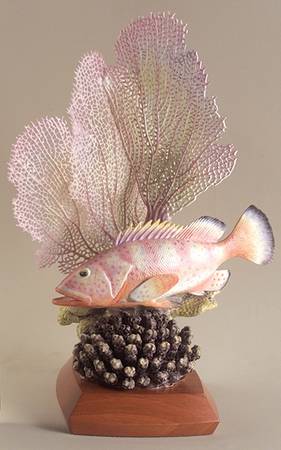 Tropical Fish-Large Red Hind Fish - Boxed