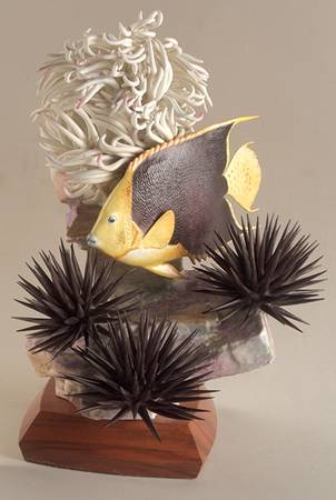 Tropical Fish-Large Rock Beauty Fish - Boxed