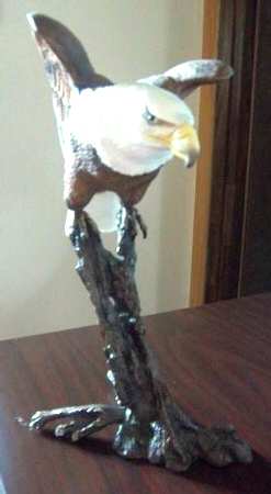 Birds of Prey Bald Eagle - Boxed