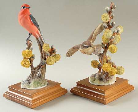 Doughty American Birds Vermillion Flycathers & Pussy Willow-Pai - Boxed