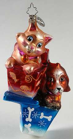 Animal Charity Awareness by Christopher Radko