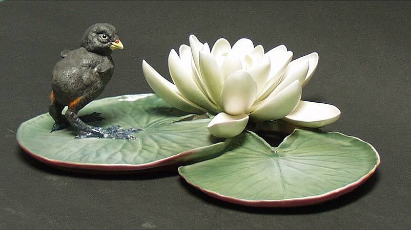 Doughty British Birds Moorhen Chick On Waterlily Pads - Boxed