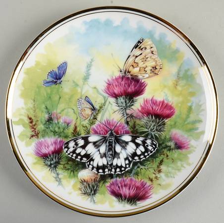 Butterfly Kingdom Marbled White, Common Blue - Boxed