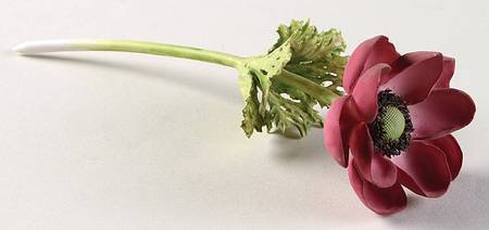 Flower Arrangements Pink Anemone Stem-Small - No Box