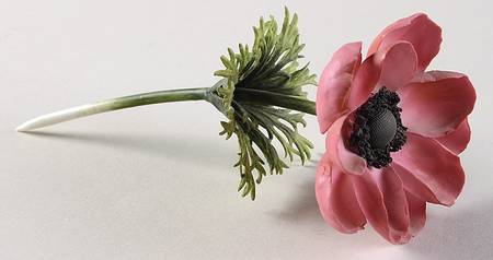 Flower Arrangements Pink Anemone Stem-Large - No Box