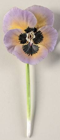 Flower Arrangements Pretty Faces-Yellow Pansy - No Box
