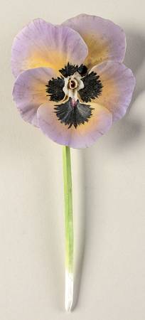 Flower Arrangements Pretty Faces-Purple Pansy - No Box
