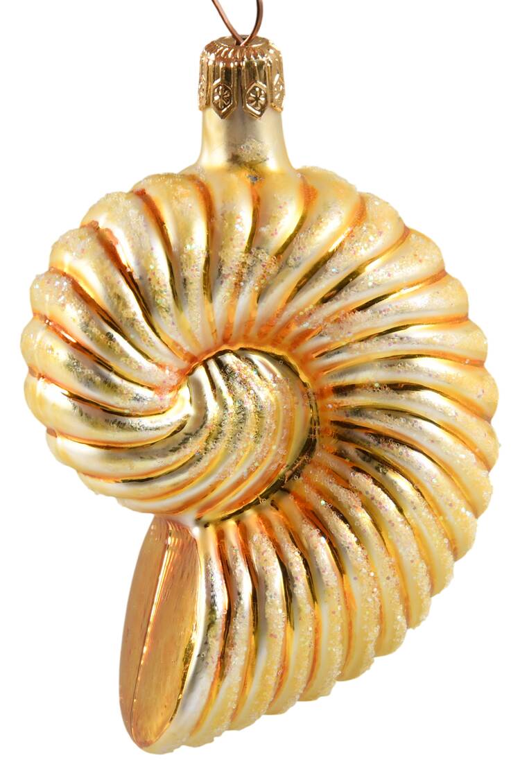 Aquatic Medium Nautilus-Gold - No Box