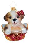 Animal Adoption Charity 2026-Basket Of Hope - No Box