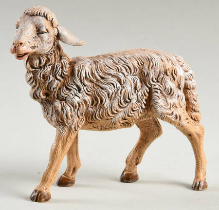 Fontanini Nativity 12 Inch Scale Sheep Head Straight - Boxed