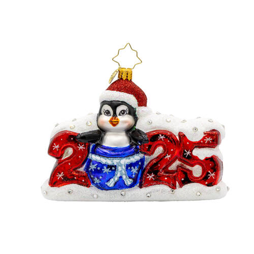 2025 Dated Ornaments 2025 Frosty Flipper Countdown - No Box