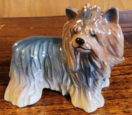 Dogs Yorkshire Terrier - Boxed